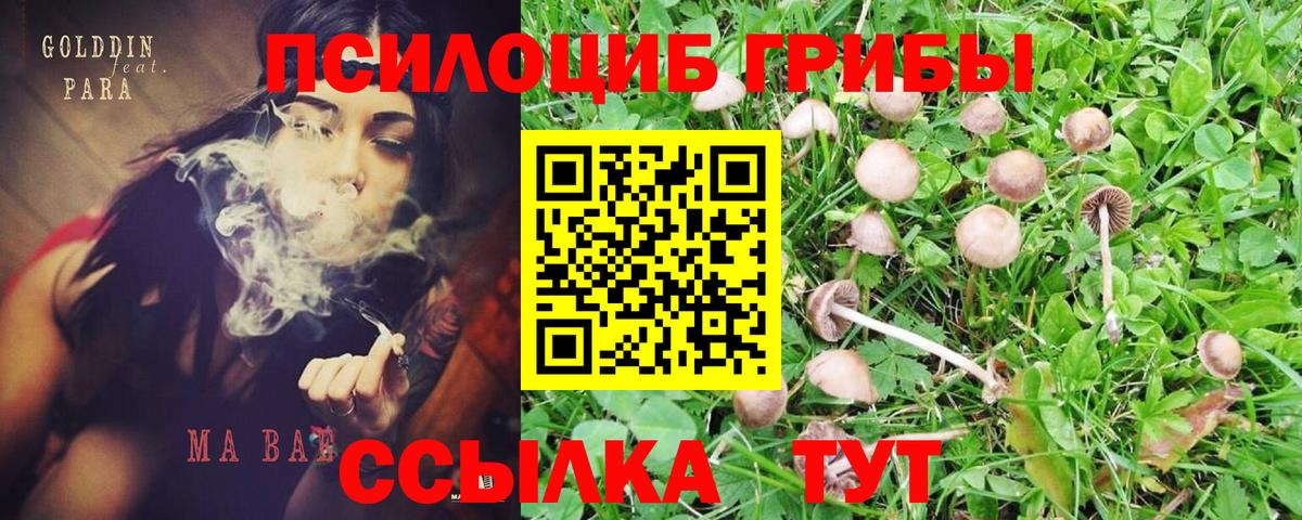 Галлюциногенные грибы GOLDEN TEACHER  Вход с VPN  наркотики  Керчь 