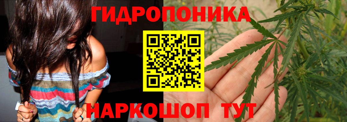 Марихуана сатива Керчь